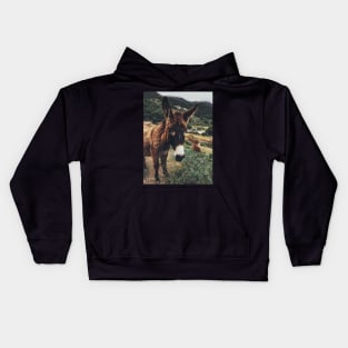 Burro Portrait Kids Hoodie